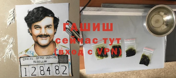 гидра Богородицк