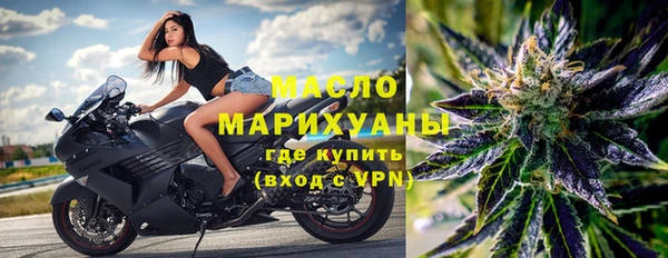 прущий лед Богданович