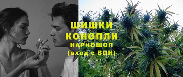 гидра Богородицк