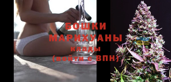 прущий лед Богданович