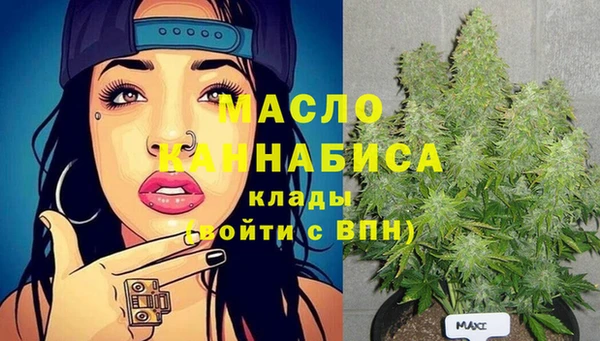 прущий лед Богданович