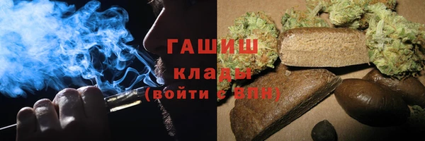 гидра Богородицк
